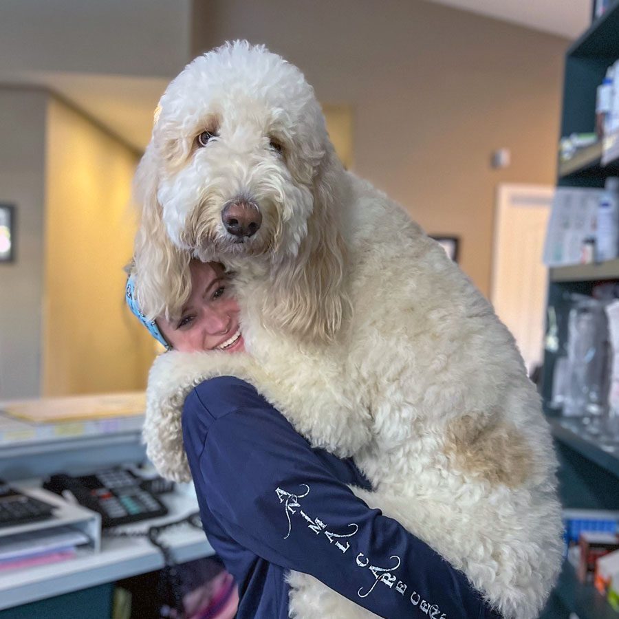 Receptionist Holding Large Dog